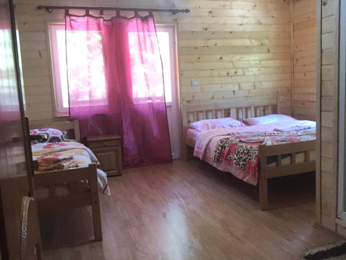 Adenisi Guesthouse Tropoje Zewnętrze zdjęcie