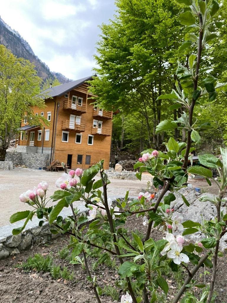 Adenisi Guesthouse Tropoje Zewnętrze zdjęcie